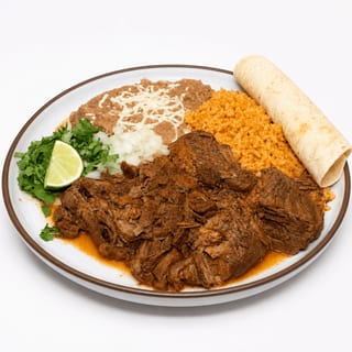 Birria Plate