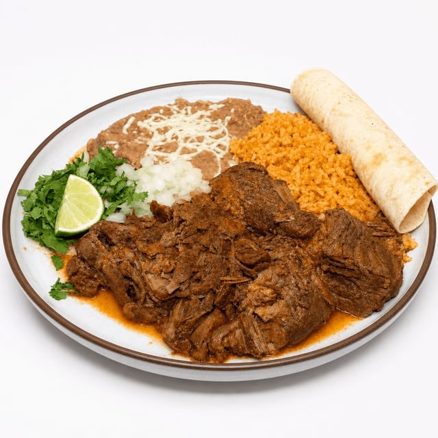 Birria Plate.